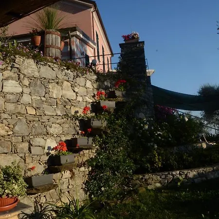 La Gatta Sul Sentiero 4*