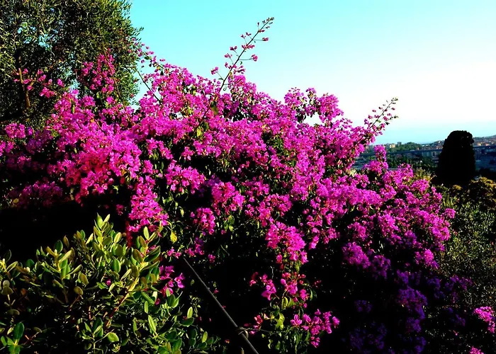 La Gatta Sul Sentiero Bed and breakfast San Salvatore (Genoa)