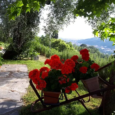 Oda ve Kahvaltı La Gatta Sul Sentiero