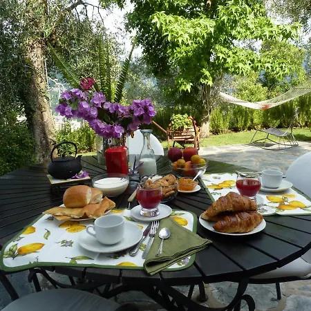 La Gatta Sul Sentiero