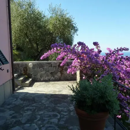 La Gatta Sul Sentiero 4*
