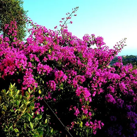 La Gatta Sul Sentiero 住宿加早餐酒店 San Salvatore (Genoa)