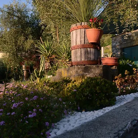 ベッド・アンド・ブレックファスト La Gatta Sul Sentiero San Salvatore