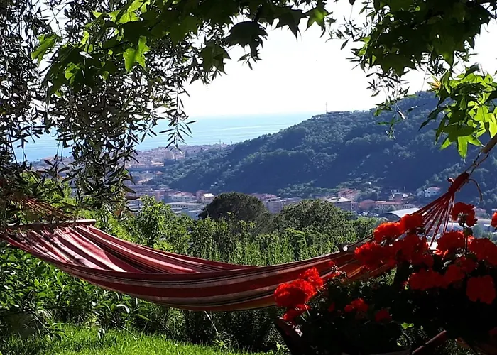 La Gatta Sul Sentiero