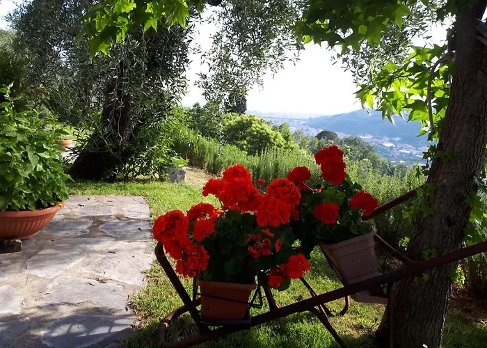 Bed and Breakfast La Gatta Sul Sentiero