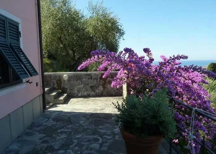 La Gatta Sul Sentiero 4*